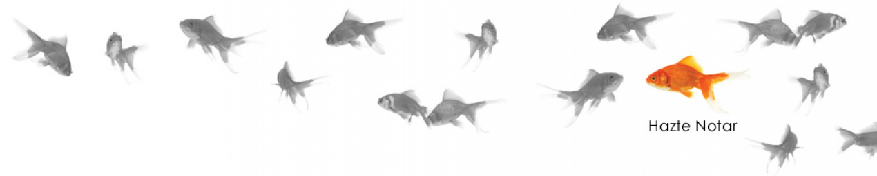 gallery/grafica-header